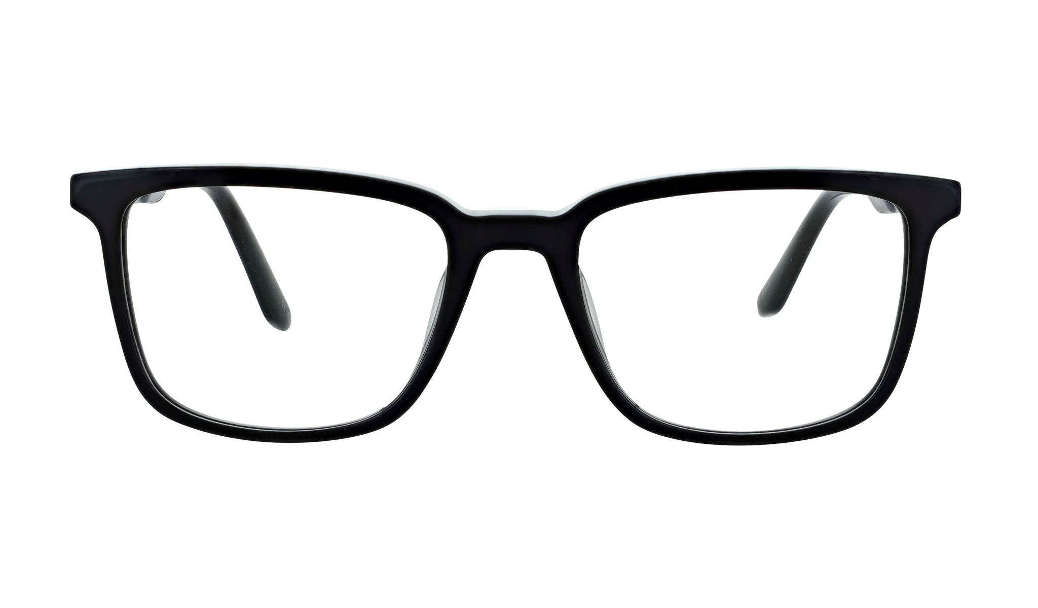 Noah - Image 2